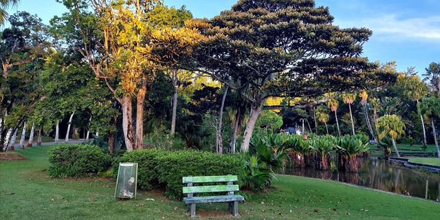 Curepipe Botanical Garden (7)
